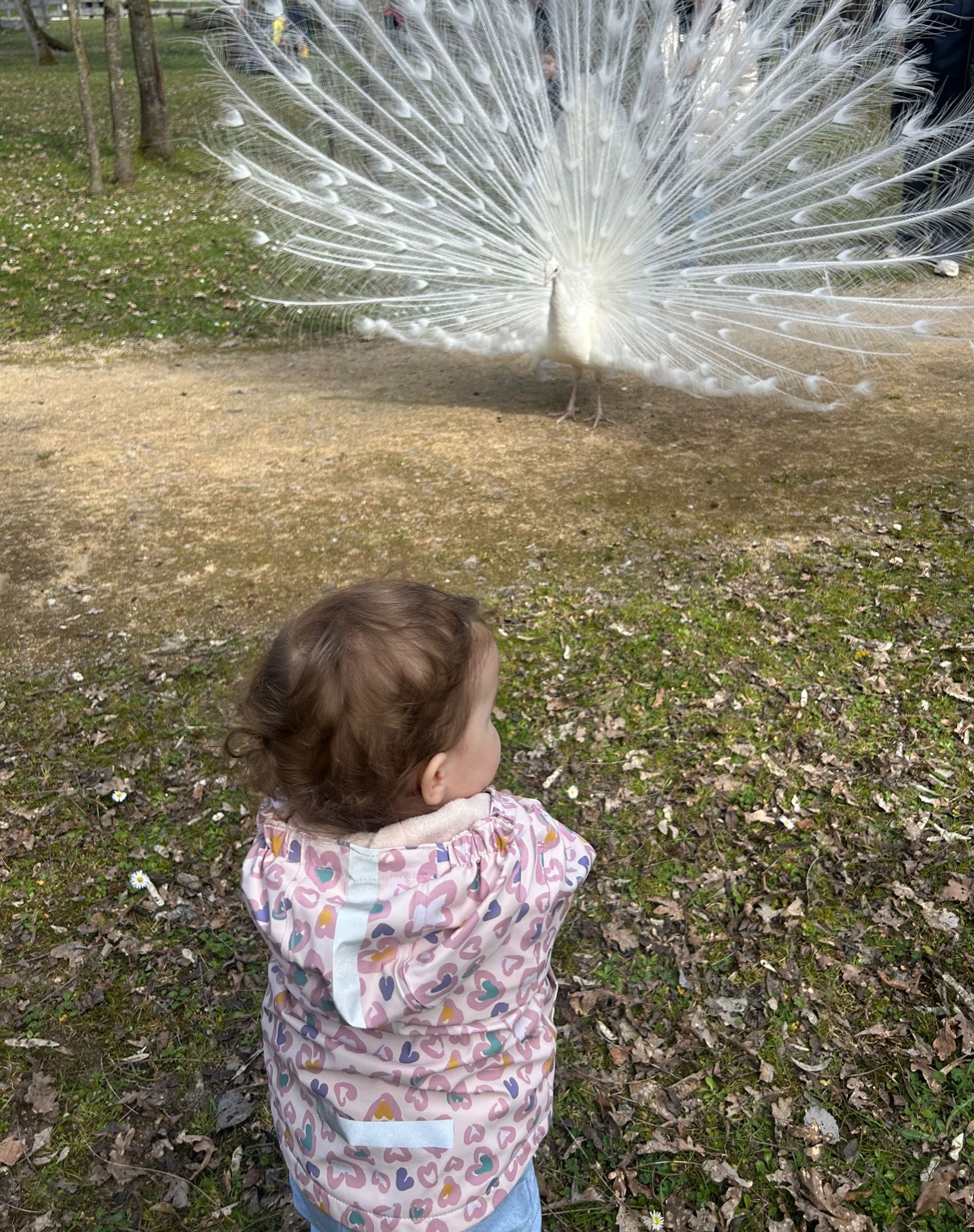 Parc du Petit Prince: Unser Ausflug mit Daria